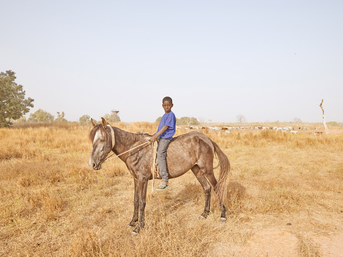 Saidou Kante - Shepherd on Horseback