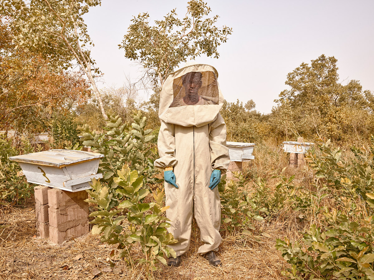 Idrissa Sidibe - Beekeeper